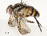  ( - CBG-A59488-B11)  @11 [ ] CreativeCommons - Attribution Share - Alike (2025) CBG Photography Group Centre for Biodiversity Genomics