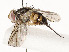  ( - CBG-A59488-B12)  @11 [ ] CreativeCommons - Attribution Share - Alike (2025) CBG Photography Group Centre for Biodiversity Genomics