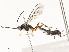  ( - CBG-A59488-D02)  @11 [ ] CreativeCommons - Attribution Share - Alike (2025) CBG Photography Group Centre for Biodiversity Genomics