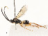  ( - CBG-A59488-D07)  @11 [ ] CreativeCommons - Attribution Share - Alike (2025) CBG Photography Group Centre for Biodiversity Genomics
