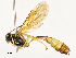  ( - CBG-A59489-A11)  @11 [ ] CreativeCommons - Attribution Share - Alike (2025) CBG Photography Group Centre for Biodiversity Genomics