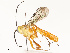  ( - CBG-A59489-B08)  @11 [ ] CreativeCommons - Attribution Share - Alike (2025) CBG Photography Group Centre for Biodiversity Genomics