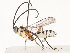  ( - CBG-A59489-C01)  @11 [ ] CreativeCommons - Attribution Share - Alike (2025) CBG Photography Group Centre for Biodiversity Genomics
