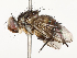  ( - CBG-A59496-A10)  @11 [ ] CreativeCommons - Attribution Share - Alike (2025) CBG Photography Group Centre for Biodiversity Genomics