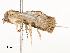  ( - CBG-A59496-C03)  @11 [ ] CreativeCommons - Attribution Share - Alike (2025) CBG Photography Group Centre for Biodiversity Genomics