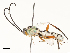  ( - CBG-A59496-E10)  @11 [ ] CreativeCommons - Attribution Share - Alike (2025) CBG Photography Group Centre for Biodiversity Genomics