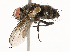  ( - CBG-A59497-E06)  @11 [ ] CreativeCommons - Attribution Share - Alike (2025) CBG Photography Group Centre for Biodiversity Genomics