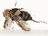  ( - CBG-A58620-B05)  @11 [ ] CreativeCommons - Attribution Share - Alike (2025) CBG Photography Group Centre for Biodiversity Genomics