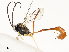  ( - CBG-A58620-D02)  @11 [ ] CreativeCommons - Attribution Share - Alike (2025) CBG Photography Group Centre for Biodiversity Genomics