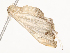  ( - CBG-A58620-E01)  @11 [ ] CreativeCommons - Attribution Share - Alike (2025) CBG Photography Group Centre for Biodiversity Genomics