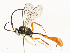  ( - CBG-A58709-E01)  @11 [ ] CreativeCommons - Attribution Share - Alike (2025) CBG Photography Group Centre for Biodiversity Genomics