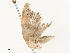  ( - CBG-A59491-A06)  @11 [ ] CreativeCommons - Attribution Share - Alike (2025) CBG Photography Group Centre for Biodiversity Genomics