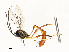  ( - CBG-A59491-D11)  @11 [ ] CreativeCommons - Attribution Share - Alike (2025) CBG Photography Group Centre for Biodiversity Genomics