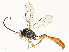 ( - CBG-A59491-E07)  @11 [ ] CreativeCommons - Attribution Share - Alike (2025) CBG Photography Group Centre for Biodiversity Genomics
