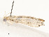  ( - CBG-A59492-D08)  @11 [ ] CreativeCommons - Attribution Share - Alike (2025) CBG Photography Group Centre for Biodiversity Genomics