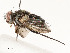  ( - CBG-A59492-D12)  @11 [ ] CreativeCommons - Attribution Share - Alike (2025) CBG Photography Group Centre for Biodiversity Genomics
