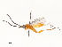  ( - CBG-A59492-E12)  @11 [ ] CreativeCommons - Attribution Share - Alike (2025) CBG Photography Group Centre for Biodiversity Genomics