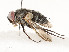  ( - CBG-A59492-G01)  @11 [ ] CreativeCommons - Attribution Share - Alike (2025) CBG Photography Group Centre for Biodiversity Genomics