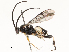  ( - CBG-A59498-G02)  @11 [ ] CreativeCommons - Attribution Share - Alike (2025) CBG Photography Group Centre for Biodiversity Genomics