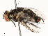  ( - CBG-A59498-H07)  @11 [ ] CreativeCommons - Attribution Share - Alike (2025) CBG Photography Group Centre for Biodiversity Genomics