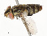  ( - CBG-A59499-C02)  @11 [ ] CreativeCommons - Attribution Share - Alike (2025) CBG Photography Group Centre for Biodiversity Genomics