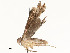  ( - CBG-A59499-E08)  @11 [ ] CreativeCommons - Attribution Share - Alike (2025) CBG Photography Group Centre for Biodiversity Genomics