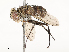  ( - CBG-A59500-D04)  @11 [ ] CreativeCommons - Attribution Share - Alike (2025) CBG Photography Group Centre for Biodiversity Genomics