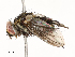  ( - CBG-A59500-D06)  @11 [ ] CreativeCommons - Attribution Share - Alike (2025) CBG Photography Group Centre for Biodiversity Genomics