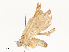  ( - CBG-A59500-G02)  @11 [ ] CreativeCommons - Attribution Share - Alike (2025) CBG Photography Group Centre for Biodiversity Genomics