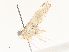  ( - CBG-A59500-G07)  @11 [ ] CreativeCommons - Attribution Share - Alike (2025) CBG Photography Group Centre for Biodiversity Genomics