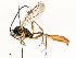  ( - CBG-A59558-G07)  @11 [ ] CreativeCommons - Attribution Share - Alike (2025) CBG Photography Group Centre for Biodiversity Genomics