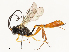  ( - CBG-A59558-H05)  @11 [ ] CreativeCommons - Attribution Share - Alike (2025) CBG Photography Group Centre for Biodiversity Genomics