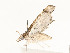  ( - CBG-A62869-F10)  @11 [ ] CreativeCommons - Attribution Share - Alike (2025) CBG Photography Group Centre for Biodiversity Genomics