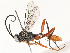  ( - CBG-A62869-H04)  @11 [ ] CreativeCommons - Attribution Share - Alike (2025) CBG Photography Group Centre for Biodiversity Genomics