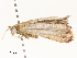  ( - CBG-A62870-D12)  @11 [ ] CreativeCommons - Attribution Share - Alike (2025) CBG Photography Group Centre for Biodiversity Genomics