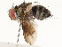  ( - CBG-A62870-F08)  @11 [ ] CreativeCommons - Attribution Share - Alike (2025) CBG Photography Group Centre for Biodiversity Genomics