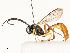  ( - CBG-A62871-B09)  @11 [ ] CreativeCommons - Attribution Share - Alike (2025) CBG Photography Group Centre for Biodiversity Genomics