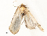  ( - CBG-A62875-E10)  @11 [ ] CreativeCommons - Attribution Share - Alike (2025) CBG Photography Group Centre for Biodiversity Genomics
