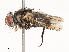  ( - CBG-A65357-E05)  @11 [ ] CreativeCommons - Attribution Share - Alike (2025) CBG Photography Group Centre for Biodiversity Genomics