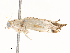  ( - CBG-A65357-F05)  @11 [ ] CreativeCommons - Attribution Share - Alike (2025) CBG Photography Group Centre for Biodiversity Genomics