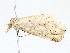  ( - BIOUG62729-A09)  @11 [ ] CreativeCommons - Attribution (2022) CBG Photography Group Centre for Biodiversity Genomics