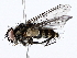  ( - BIOUG62729-D12)  @11 [ ] CreativeCommons - Attribution (2022) CBG Photography Group Centre for Biodiversity Genomics