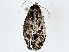  ( - BIOUG62732-F12)  @11 [ ] CreativeCommons - Attribution (2022) CBG Photography Group Centre for Biodiversity Genomics