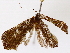  ( - BIOUG72940-A05)  @11 [ ] CreativeCommons - Attribution (2022) CBG Photography Group Centre for Biodiversity Genomics