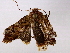  ( - BIOUG72940-E06)  @13 [ ] CreativeCommons - Attribution (2022) CBG Photography Group Centre for Biodiversity Genomics