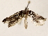  ( - BIOUG72941-C05)  @11 [ ] CreativeCommons - Attribution (2022) CBG Photography Group Centre for Biodiversity Genomics