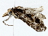  ( - BIOUG76540-B05)  @11 [ ] CreativeCommons - Attribution (2022) CBG Photography Group Centre for Biodiversity Genomics