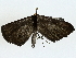  ( - BIOUG77711-C03)  @11 [ ] CreativeCommons - Attribution (2022) CBG Photography Group Centre for Biodiversity Genomics
