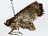  ( - BIOUG80133-A08)  @11 [ ] CreativeCommons - Attribution (2022) CBG Photography Group Centre for Biodiversity Genomics