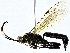  ( - BIOUG80133-F08)  @11 [ ] CreativeCommons - Attribution (2022) CBG Photography Group Centre for Biodiversity Genomics